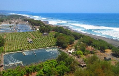 Pantai Pandansari Jogja