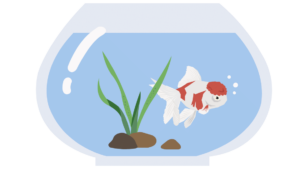 Mengenal Ikan Hias yang Bersahabat dengan Tanaman