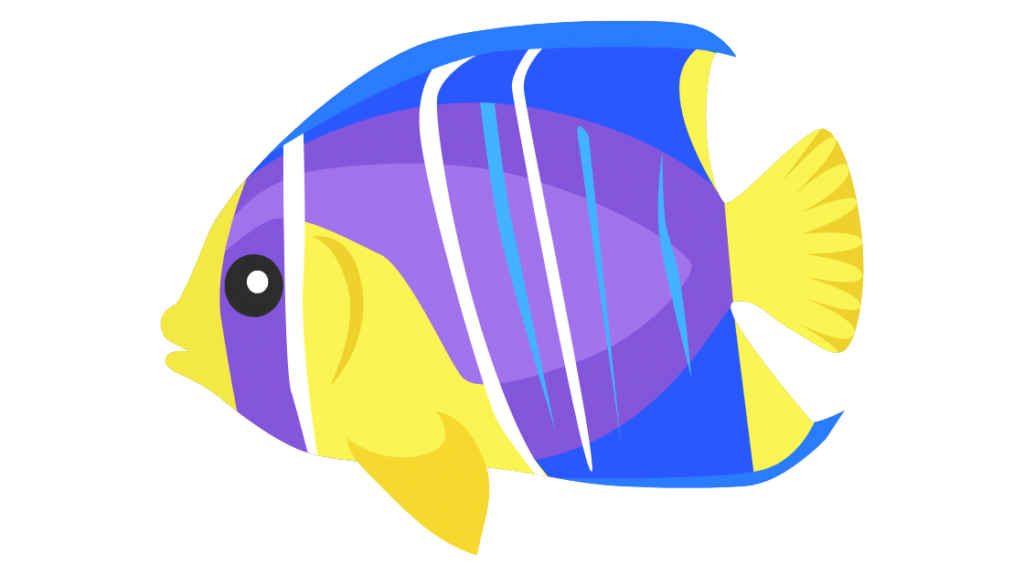 Menyaksikan Ikan Hias yang Berenang dengan Keanggunan