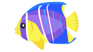 Menyaksikan Ikan Hias yang Berenang dengan Keanggunan