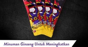 Golo Ginseng: Manfaat Luar Biasa dalam Satu Akar