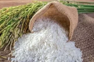 Beras Kena PPN 12%: Apa Perbedaan dengan Beras Premium?