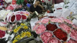 Mawar Merah & Soft Pink Laris Manis di Valentine, 10 Ribu Tangkai Terjual!