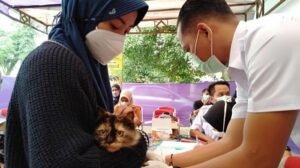 Ribuan Hewan Peliharaan di Jaksel Divaksin Gratis: Antisipasi Rabies yang Tak Terbendung