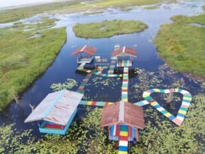 Danau Rawa Biru Merauke: Surga Tersembunyi di Ujung Timur Nusantara