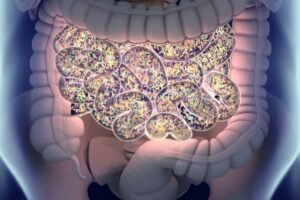 Lebih dari Sekadar Feses: 5 Tanda Usus Sehat yang Sering Diabaikan