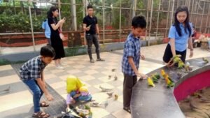 Palembang Bird Park: Surga Burung Eksotis di Jantung Sumatera Selatan