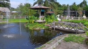 Serunya Liburan Keluarga di Rahmat Zoo and Park Medan: Wisata Edukatif Bernuansa Alam