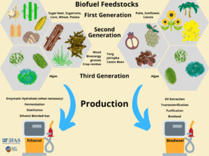Biofuel: Bukan Sekadar Pengganti Bensin, Tapi Revolusi Energi Masa Depan dengan Sentuhan Magis