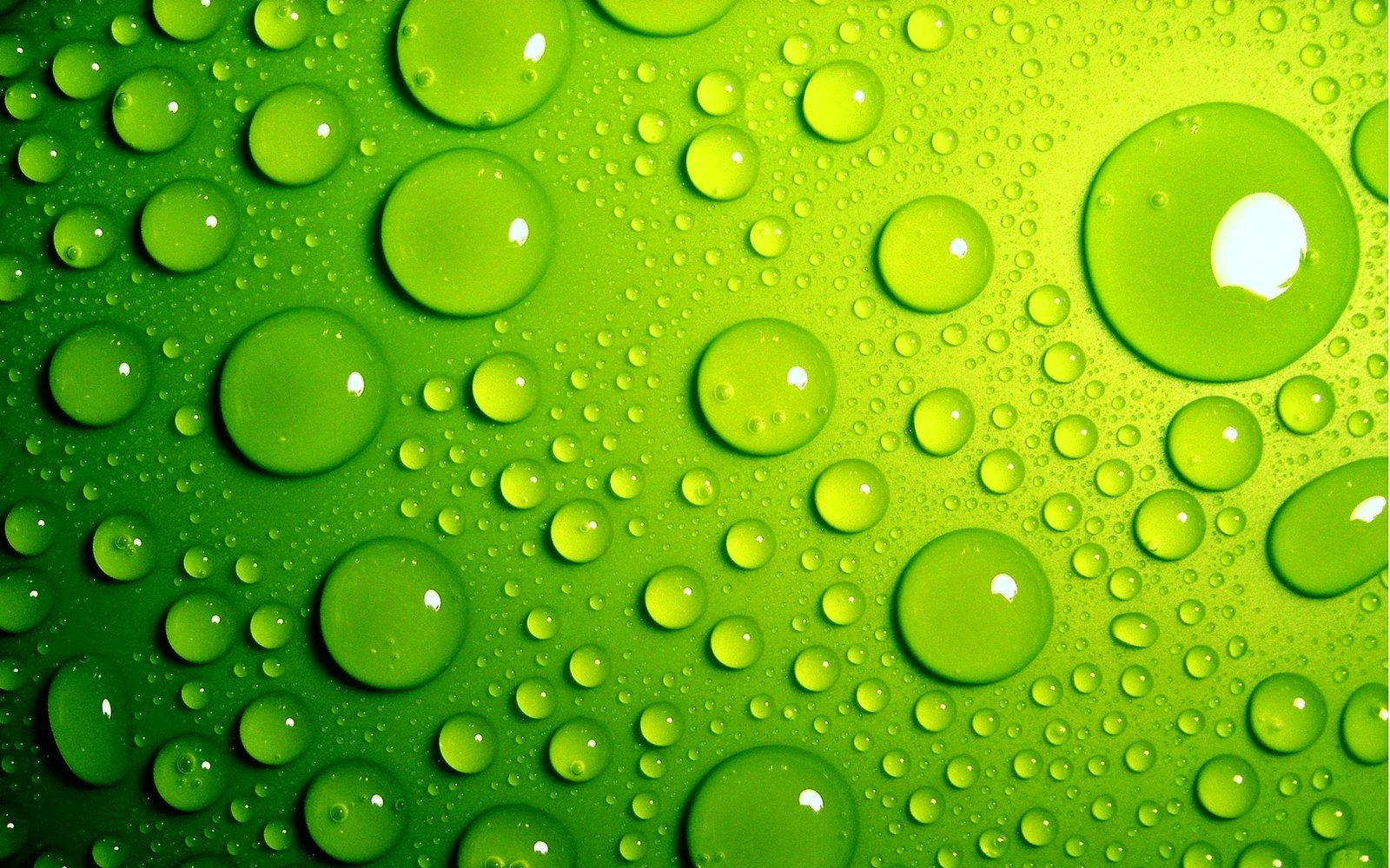 Green AI: Ketika Kecerdasan Buatan Berkontribusi pada Keberlanjutan Planet