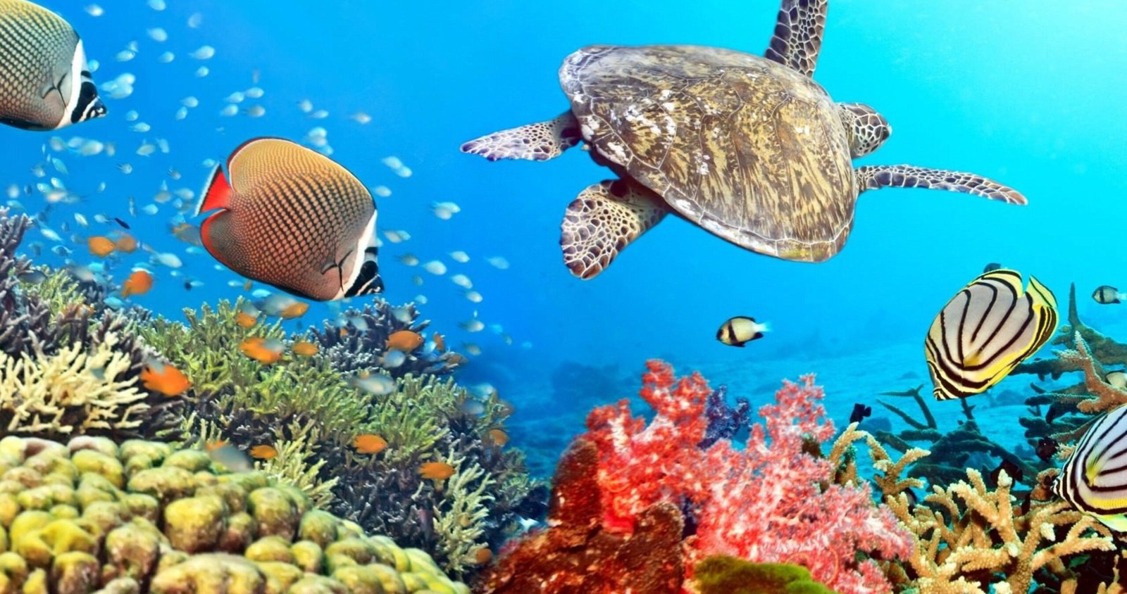 Kota Atlantis Bukan Lagi Mimpi: Menjelajahi Teknologi di Balik Peradaban Bawah Laut
