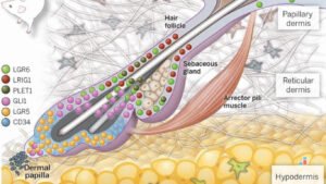 Revolusi Kesehatan: Terobosan Teknologi Medis yang Mengubah Hidup Kita