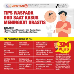 Demam Berdarah Dengue: Update Terkini, Pencegahan, dan Penanganan
