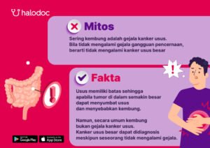 Mengenal Kanker Usus: Gejala yang Perlu Diwaspadai