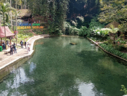 Empat Destinasi Banyuwangi untuk Liburan Akhir Tahun