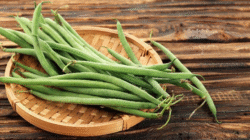 Lima Khasiat Penting Buncis Bagi Kesehatan Tubuh
