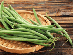 Lima Khasiat Penting Buncis Bagi Kesehatan Tubuh